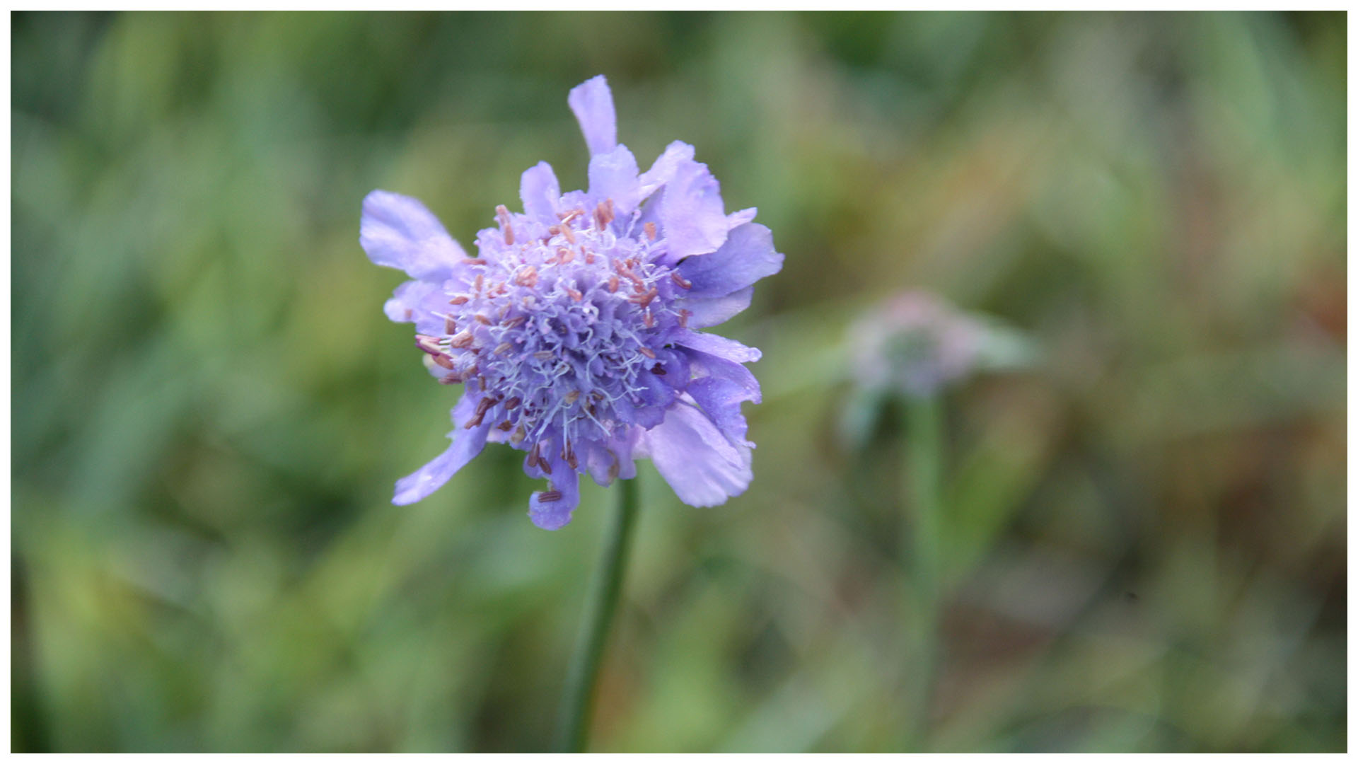 2ienloty81trim 2ienloty81trim